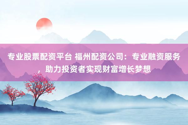 专业股票配资平台 福州配资公司：专业融资服务，助力投资者实现财富增长梦想