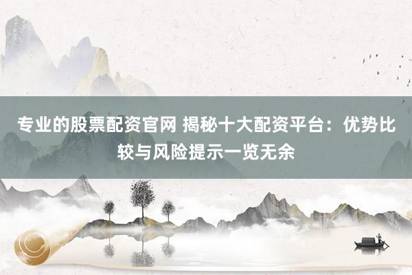专业的股票配资官网 揭秘十大配资平台：优势比较与风险提示一览无余