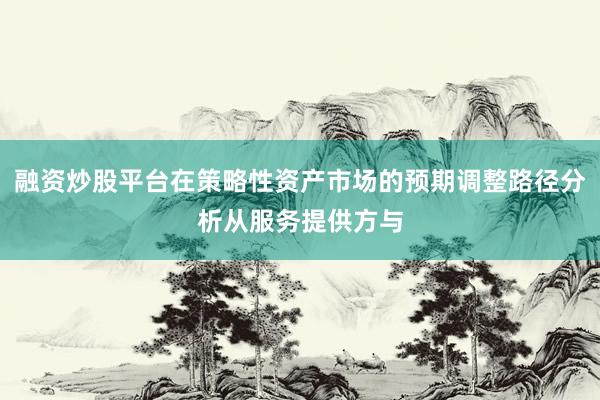 融资炒股平台在策略性资产市场的预期调整路径分析从服务提供方与