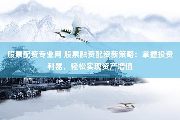 股票配资专业网 股票融资配资新策略：掌握投资利器，轻松实现资产增值